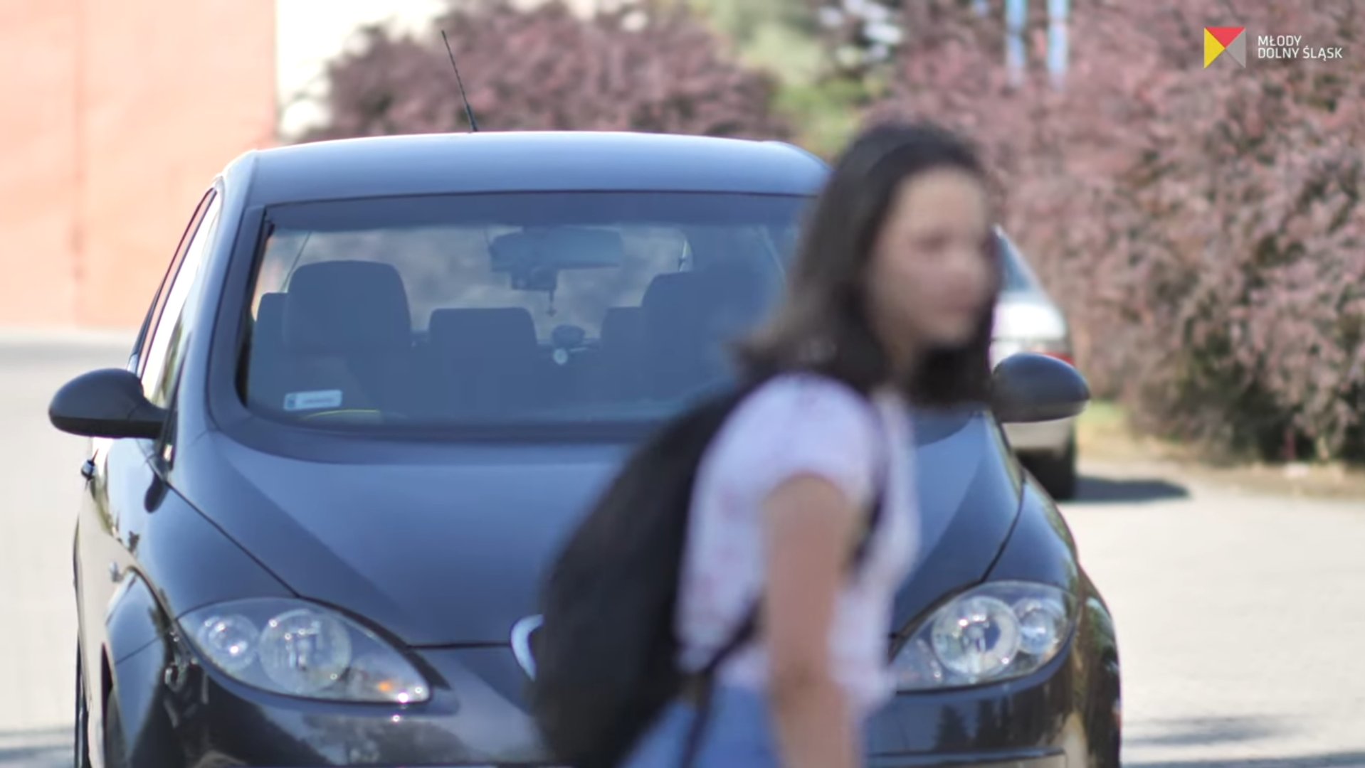 Dziewczyna na pasach